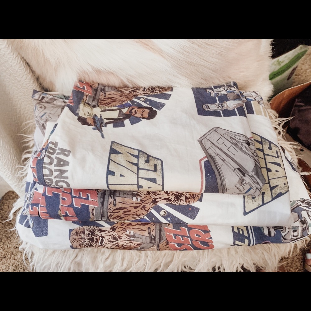 Pottery Barn twin sheet set